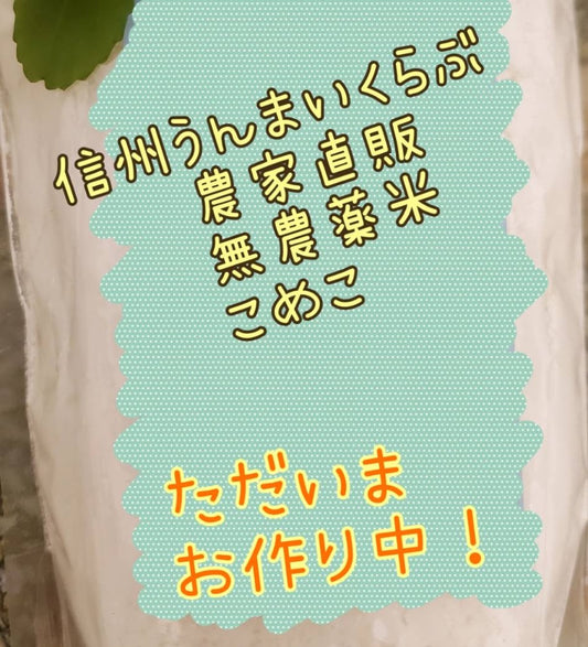 無農薬米の米粉 500g (1週間ほどで随時発送)