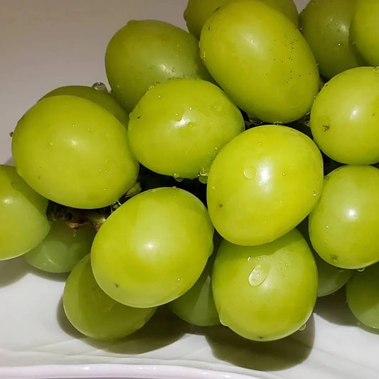 大澤農園のシャインマスカット 2kg(2025年6月からご予約承ります)