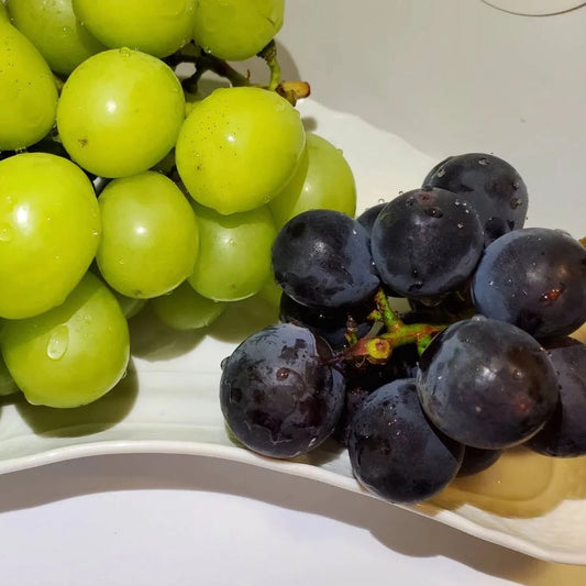 大澤農園の葡萄アソートセット:シャインマスカット1房+おまかせ朝採りぶどう 贈答用