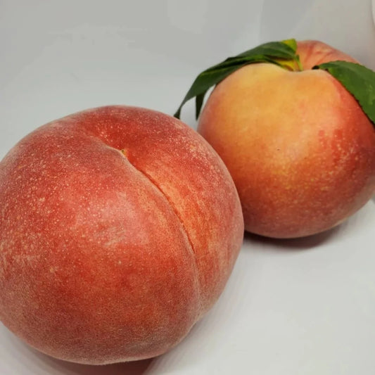 大澤農園の白桃 3kg (2025年7月から予約を受け付けます。)